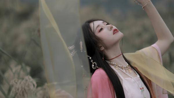 陈清顾衍最新章节免费阅读(完整版未删节)